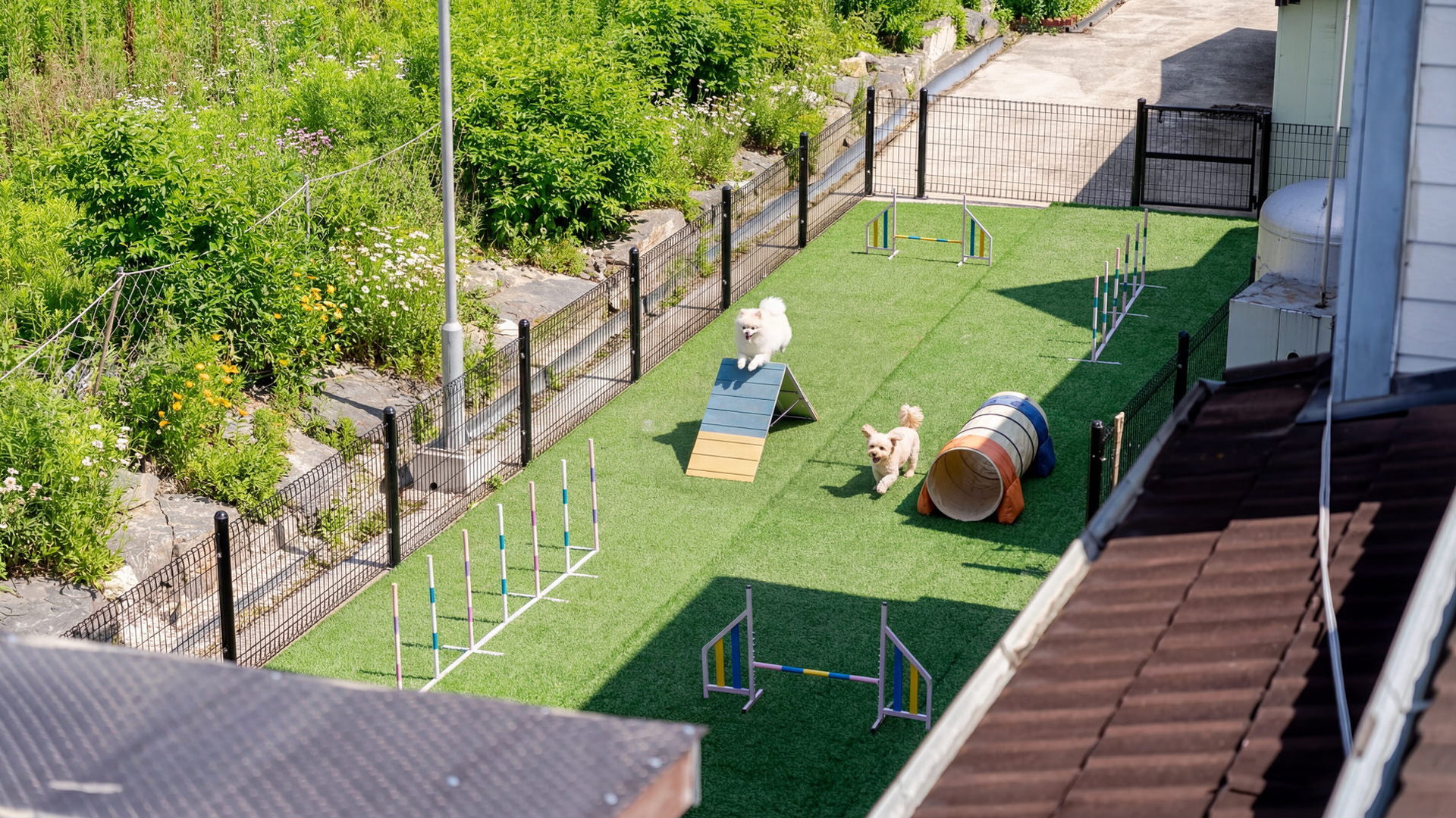 반려견 운동장